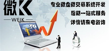 專業(yè)微交易系統(tǒng)開(kāi)發(fā)公司,游戲版微交易軟件開(kāi)發(fā)哪家好